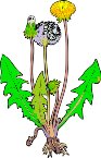 000803_1069_1766_vuvv.wmf