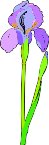 000803_1069_1768_vuvv.wmf