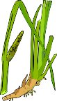 000803_1069_1769_vuvv.wmf