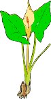 000803_1069_1770_vuvv.wmf