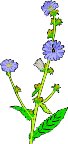 000803_1069_1772_vuvv.wmf