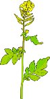 000803_1069_1778_vuvv.wmf