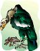 g0123124.WMF