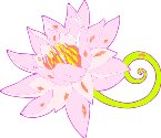000803_1067_6720_vuvv.wmf