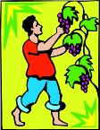 000803_1066_8612_vuvv.wmf