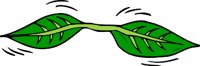 000803_1065_8445_vuvv.wmf