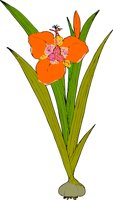 000803_1065_4767_vuvv.wmf