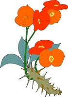 000803_1065_4781_vuvv.wmf