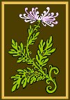 000803_1064_9605_vuvv.wmf