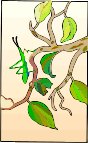 000803_1064_8514_vuvv.wmf