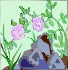 000803_1064_8517_vuvv.wmf