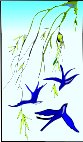 000803_1064_8518_vuvv.wmf