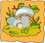000803_1064_6592_vuvv.wmf