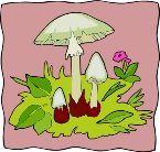 000803_1064_6595_vuvv.wmf