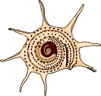 000803_1064_4974_vuvv.wmf