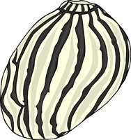 000803_1064_4975_vuvv.wmf