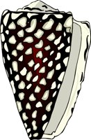 000803_1064_4978_vuvv.wmf