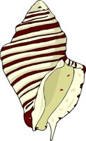 000803_1064_4983_vuvv.wmf