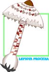 000803_1063_8447_vuvv.wmf