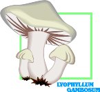 000803_1063_8451_vuvv.wmf