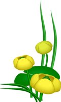 000803_1062_7209_vuvv.wmf