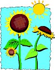 000803_1062_5121_vuvv.wmf