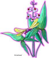 000803_1060_6222_vuvv.wmf