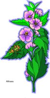 000803_1060_6229_vuvv.wmf