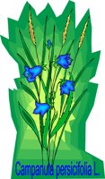 000803_1060_3421_vuvv.wmf