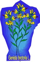 000803_1060_3422_vuvv.wmf
