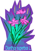 000803_1060_3426_vuvv.wmf