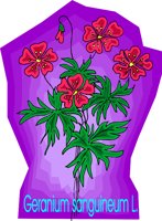 000803_1060_3429_vuvv.wmf