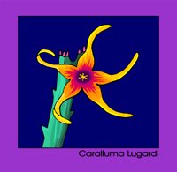 000803_1059_1846_vuvv.wmf