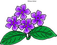 000803_1058_8485_vuvv.wmf