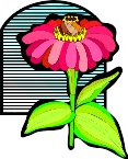 000803_1058_4894_vuvv.wmf