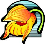 000803_1058_4903_vuvv.wmf