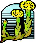 000803_1058_4914_vuvv.wmf