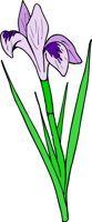 000803_1055_9533_vuvv.wmf