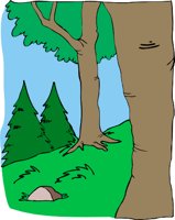 000803_1055_5285_vuvv.wmf