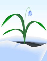 000803_1054_4232_vuvv.wmf