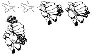 FISTOF.GIF