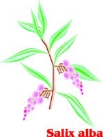 000803_1052_2942_vuvv.wmf