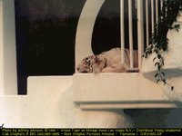 G3F0190G.GIF