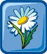 000803_1090_9545_vuvv.wmf