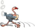 000803_1088_7014_vuvv.wmf