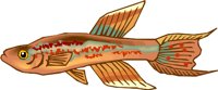 g0212396.WMF
