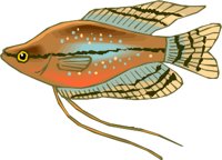g0212371.WMF