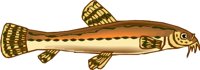 g0212366.WMF