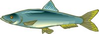 g0212351.WMF