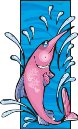 000803_1084_8437_VuvV.wmf